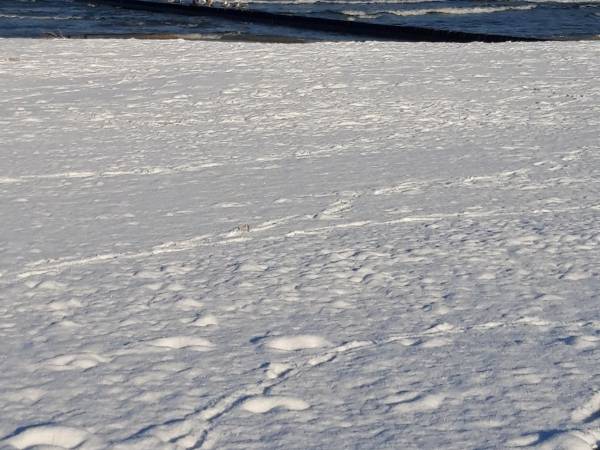 Zapraszamy także zimą. Mieszkanie posiada centralne ogrzewanie.