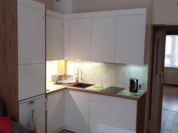 Apartament 2-pokojowy w Parku, Rabka Zdrój