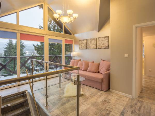 Apartament Srebrny z aneksem kuchennym