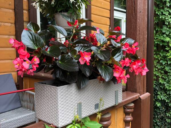 Willa Mazowsze - Komfortowe Apartamenty