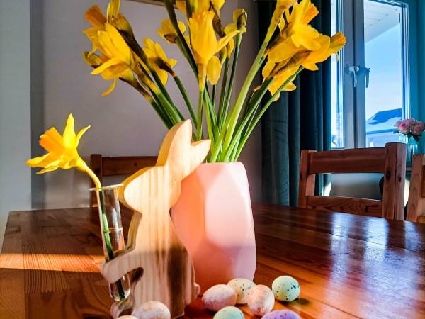 Osada Aurora domki do wynajęcia - Góry Domki. Jezioro Domki