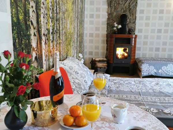 Pokój na parterze z kominkiem ,kuchnia