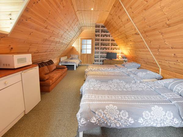 Pokój nr 6- poddasze