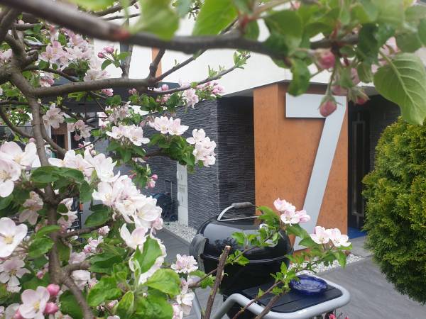 Sandra I budynek z zewnątrz wejście główne 