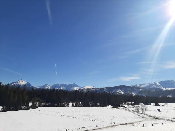 Pokoje Gościnne U Janusza