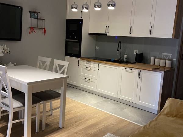 Salon z aneksem kuchennym