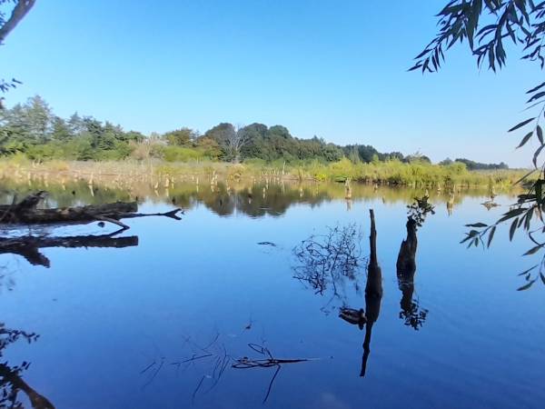 Przy trasie rowerowej