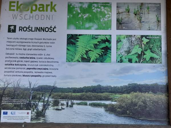 Przy trasie rowerowej