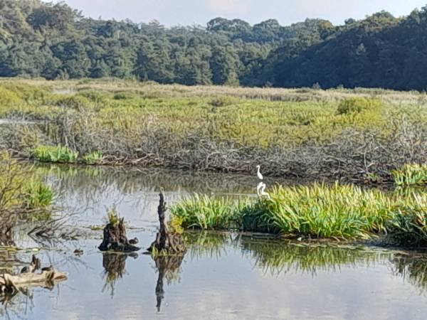 Przy trasie rowerowej