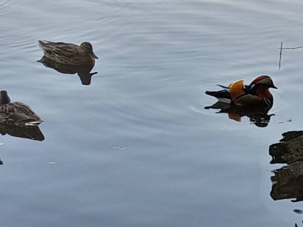 Przy trasie rowerowej