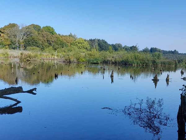 Przy trasie rowerowej