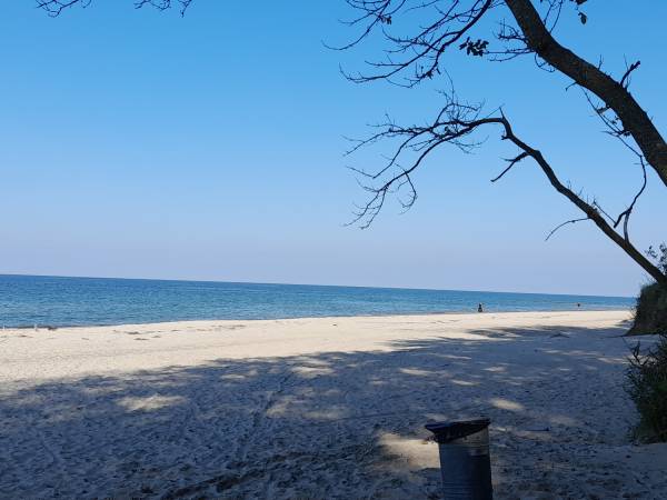 Dzika plaża - 2km od Sianożęt w kierunku Kołobrzegu przy trasie rowerowej