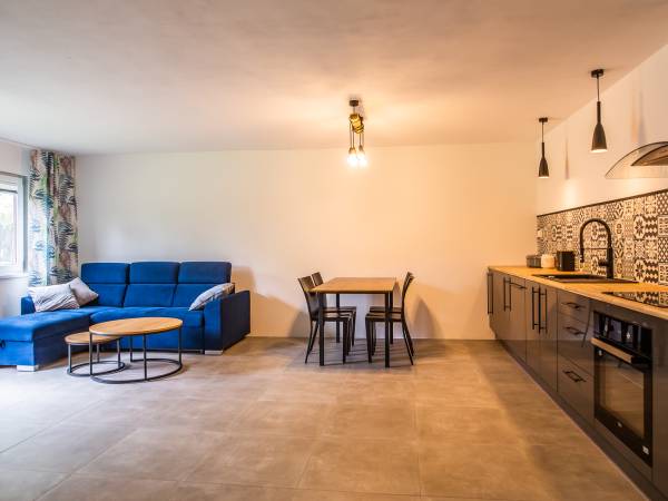 Domek Szary (2-6 osobowy) - salon i kuchnia