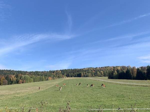 Ropienka Ski Apartament Przy Stoku Wańkowa