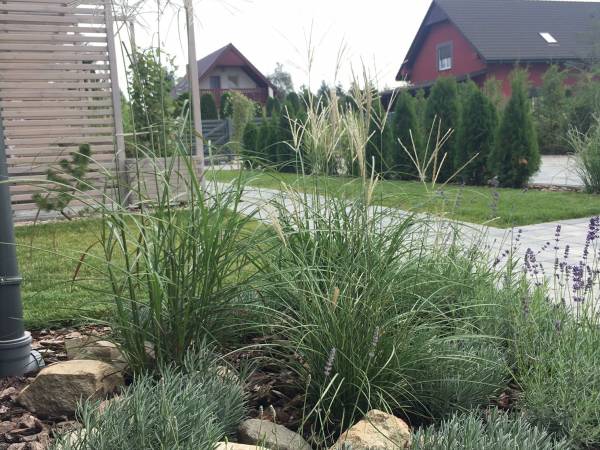 Domki Letniskowe Sando