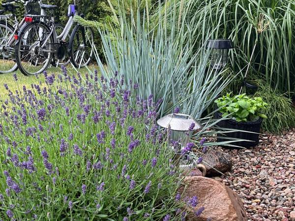 Domki Letniskowe Sando