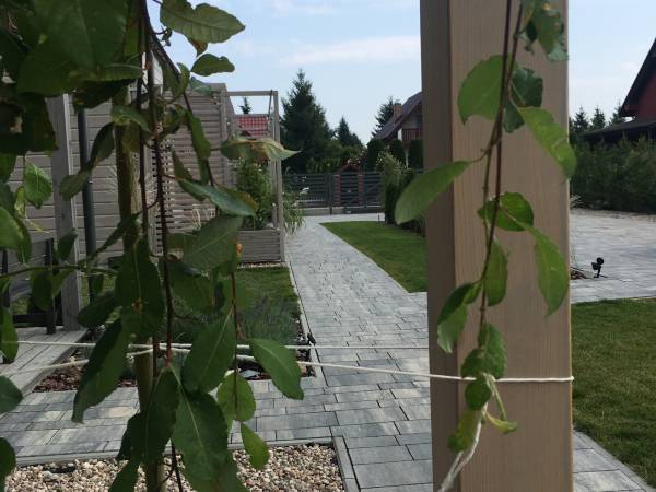 Domki Letniskowe Sando