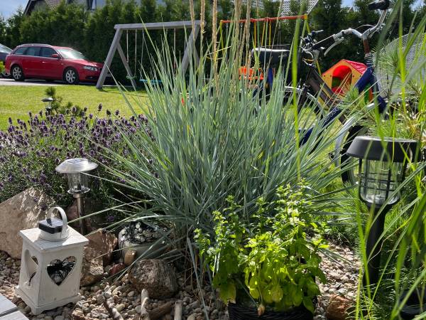 Domki Letniskowe Sando