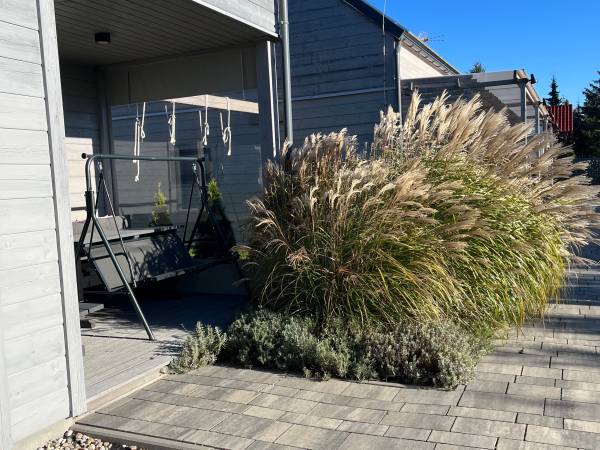 Domki Letniskowe Sando