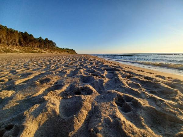 Domki wczasowe HOLIDAY