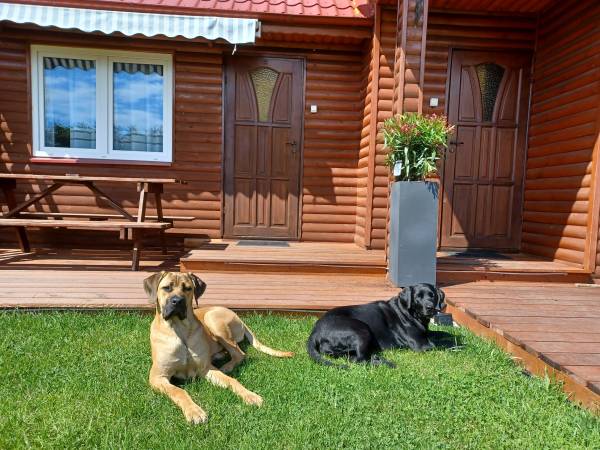 Domki wczasowe HOLIDAY