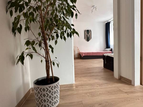 Agroturystyka - pokoje