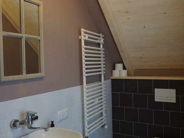 Łazienka - duża jaskółka dwuosobowa