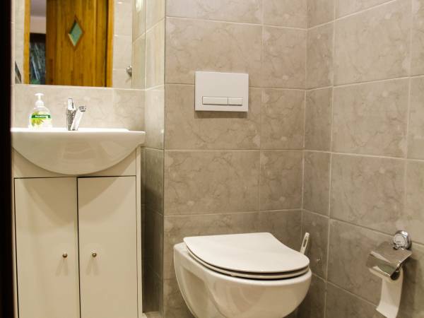 łazienka w pokoju brzozowym