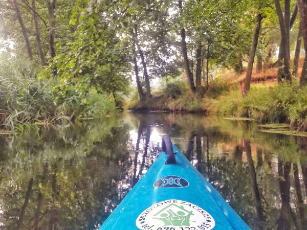 Gospodarstwo Brzozowe Zacisze