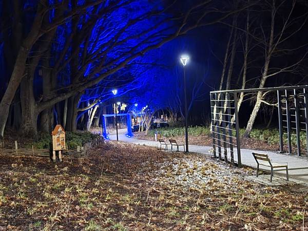 Dom Przy Lesie Władysławowo