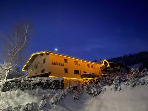 Sasanka zimowym świtem