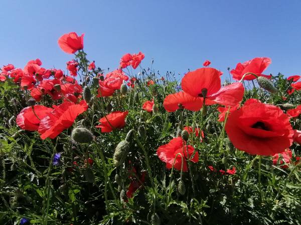Jak Tu Ładnie - Osada i Siedlisko Mazury