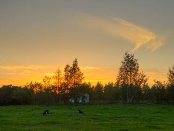 Ekologiczne Gospodarstwo Agroturystyczne Jaćwing