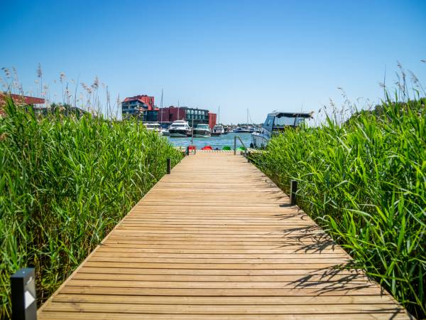 apartament do wynajęcia