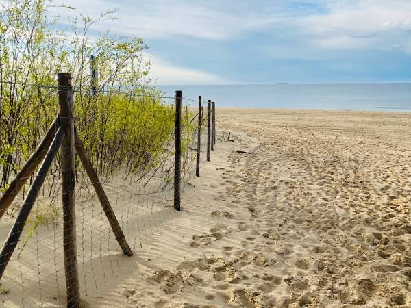 Apartamenty Villa Fiori