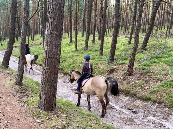 Apartamenty Villa Fiori