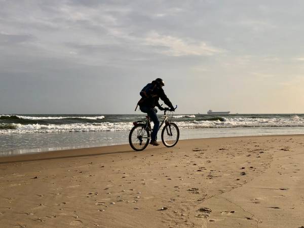 Apartamenty Villa Fiori