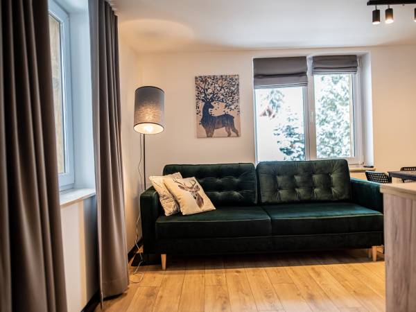 Apartamenty i Chata Drewno i Kamień