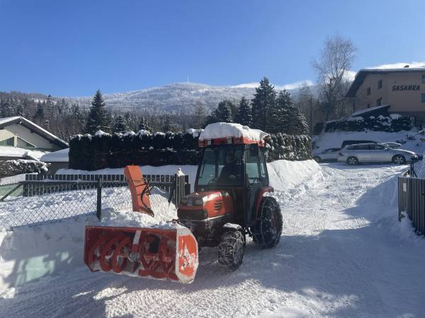 Sasanka przy Gondoli