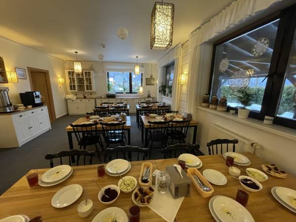 Sasanka przy Gondoli