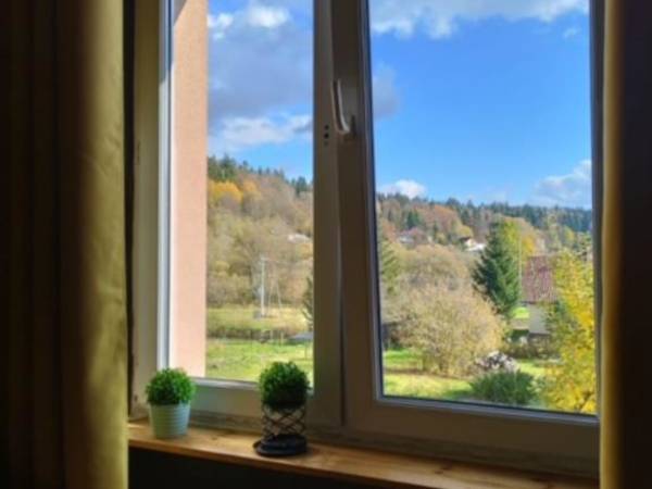 Ropienka Ski - widok z okna