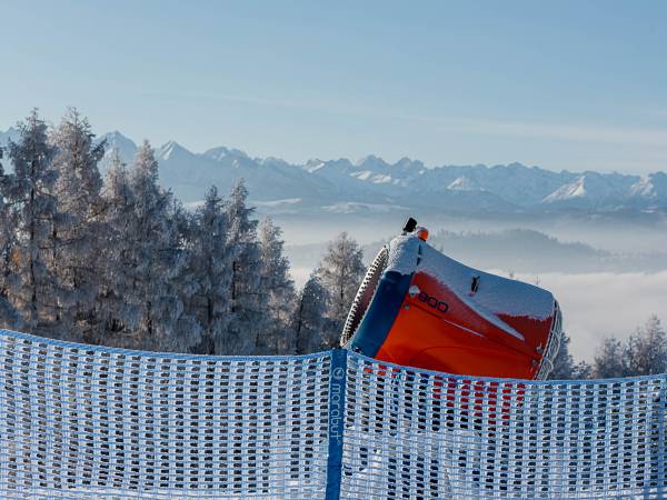 Pensjonat Willa Pienińska