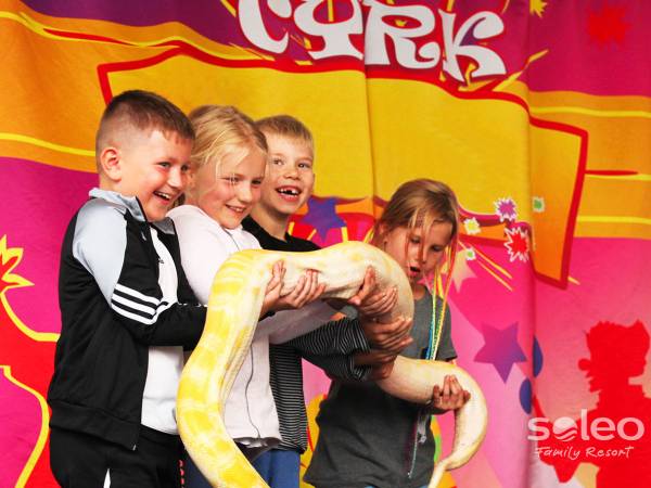 Gościnne występy grup artystycznych 