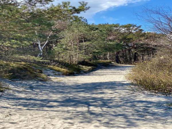 Apartament Jastarnia