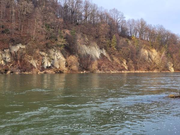 Domki Magiczne Miejsce 