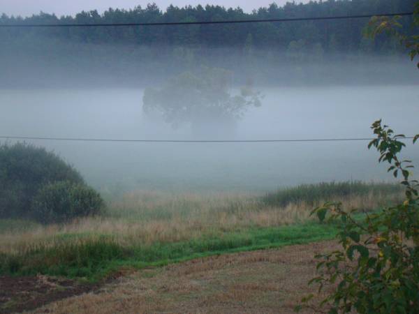 Dom Pod Lipami - Barbara i Leszek Kowalscy