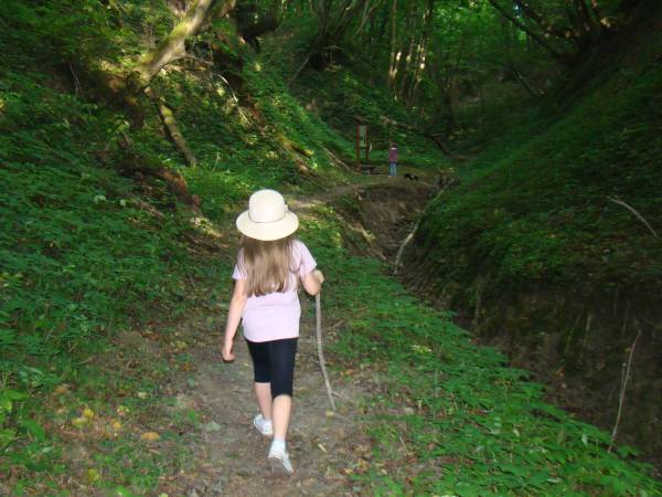 Siedlisko ,,Zenówka''