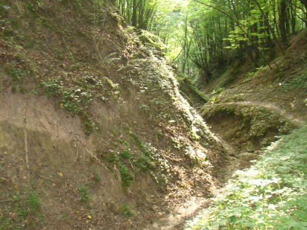 Siedlisko ,,Zenówka''