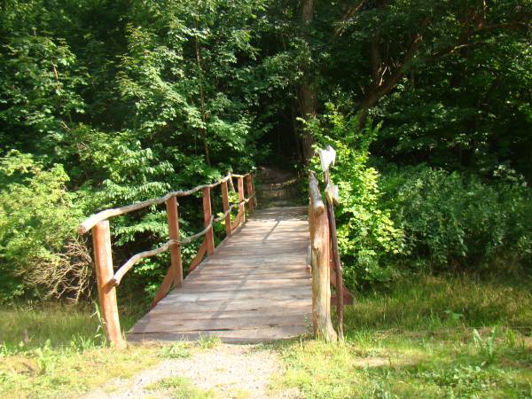 Siedlisko ,,Zenówka''