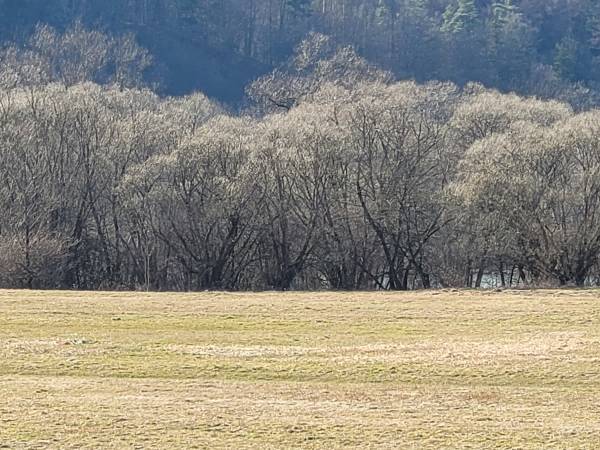 Domki Magiczne Miejsce 